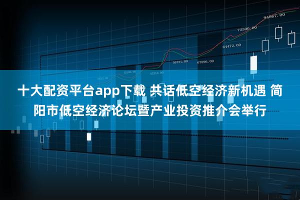 十大配资平台app下载 共话低空经济新机遇 简阳市低空经济论坛暨产业投资推介会举行