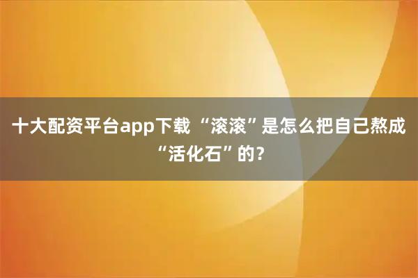 十大配资平台app下载 “滚滚”是怎么把自己熬成“活化石”的？