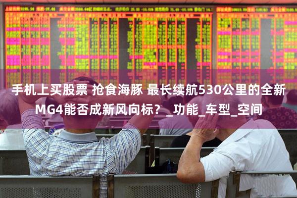 手机上买股票 抢食海豚 最长续航530公里的全新MG4能否成新风向标？_功能_车型_空间
